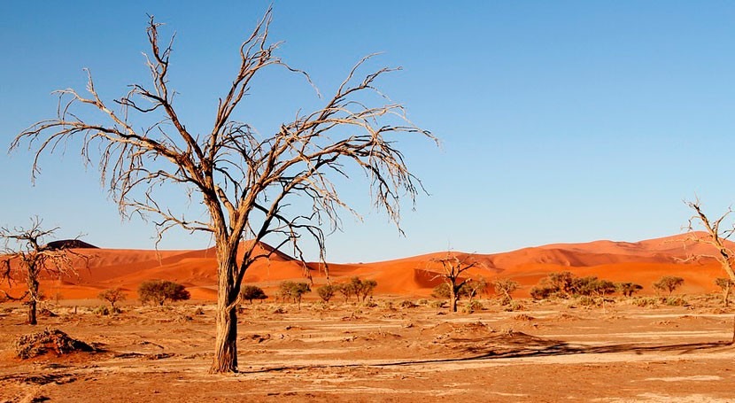 ONU exige soluciones largo plazo sequía y desertificación