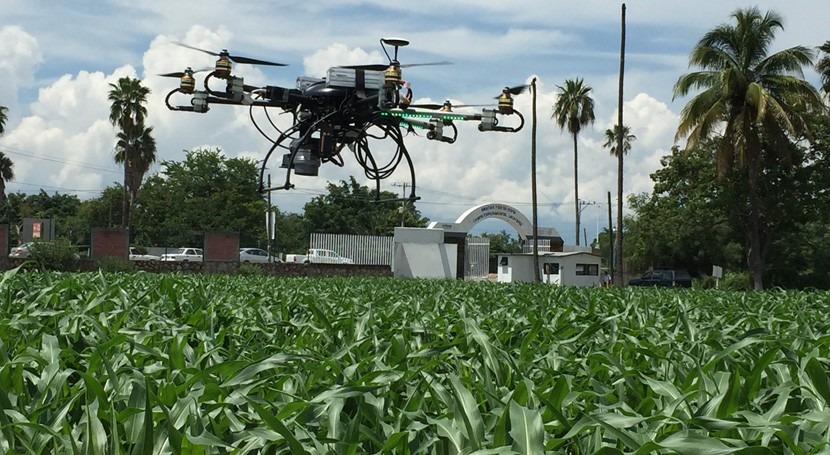 ¿Cómo optimizar riego agrícola drones?