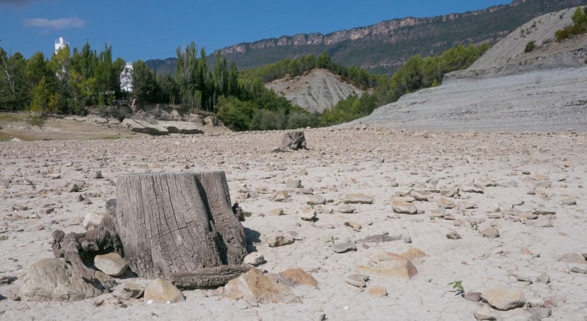 Emergencia hídrica: ¿Está cambio climático detrás descenso nivel embalses?