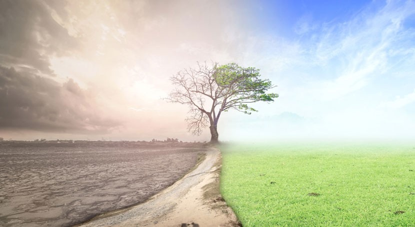 Europa declara emergencia climática y medioambiental