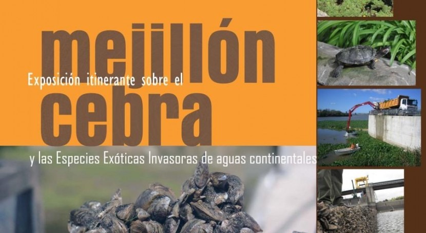 exposición itinerante mejillón cebra y especies invasoras Alloz, Navarra