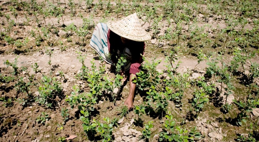 nuevo informe FAO recursos tierras y aguas dibuja panorama alarmante