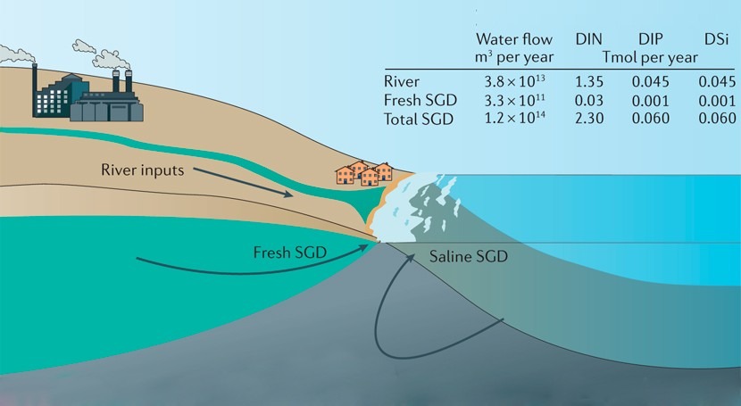 descarga agua subterránea, esencial funcionamiento ecosistemas costeros