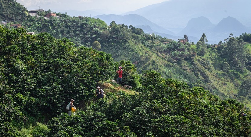 Pequeñas hidroeléctricas fincas