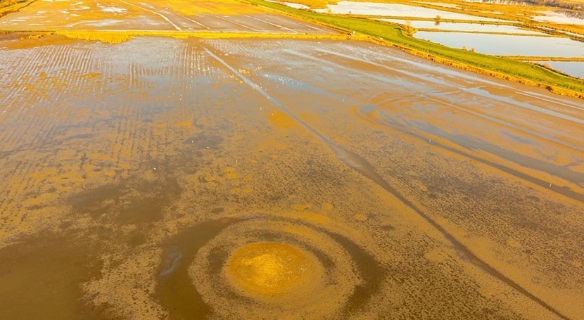 método que utiliza IA puede predecir caudal ríos y alertar inundaciones