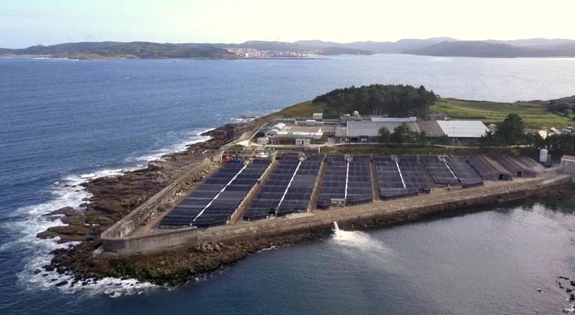 Telefónica Tech digitaliza granjas acuícolas Stolt Sea Farm Inteligencia Artificial