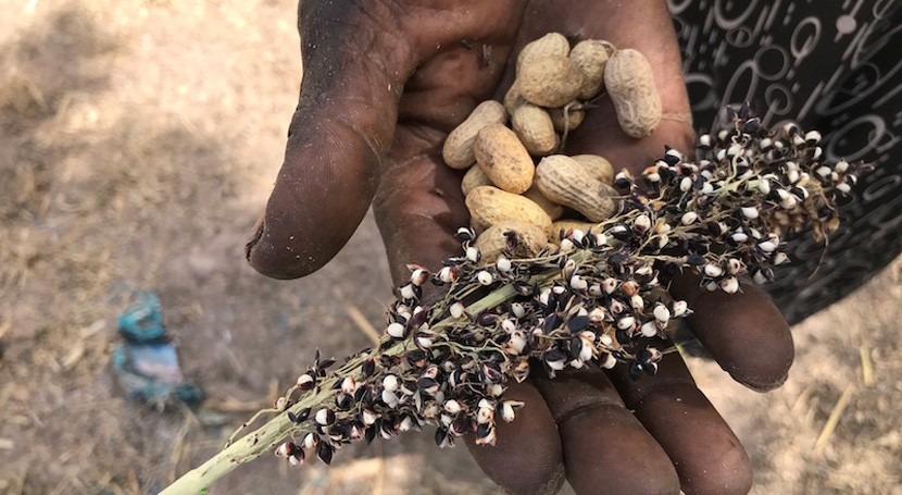 Gambia se hace más resiliente frente al cambio climático