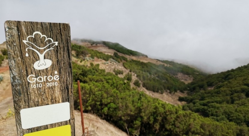 ruta agua, camino al Garoé