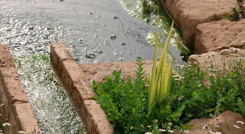 Nuevo método capturar plomo y cadmio ríos y balsas agua forma selectiva