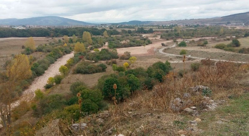 Día Humedales cuenca Ebro: restauración fluvial y mejora hábitats