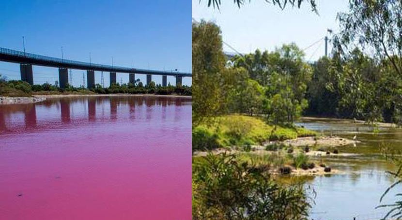 lago rosa Australia