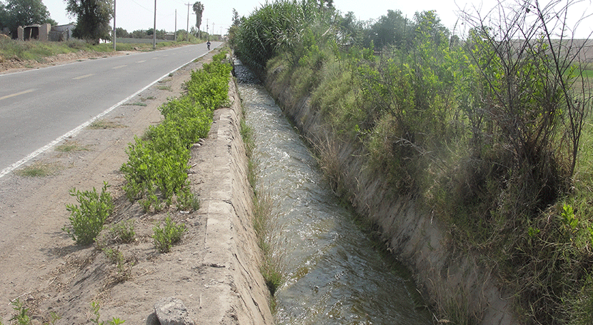 Perú: Realizan descolmatación canales y drenes aumentar oferta agua Tacna