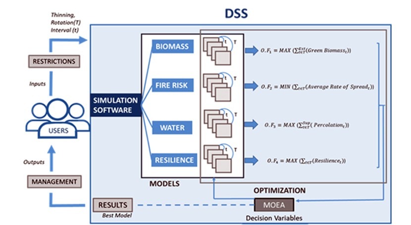 Investigadores IIAMA desarrollan software optimizar gestión forestal multiobjetivo