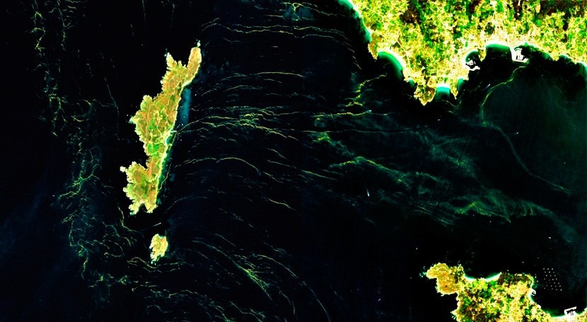 CSIC utiliza imágenes satélite monitorizar mareas rojas rías gallegas