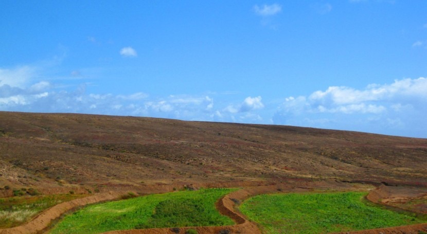 Hidrología islas volcánicas; singularidades y contribución ingeniería forestal