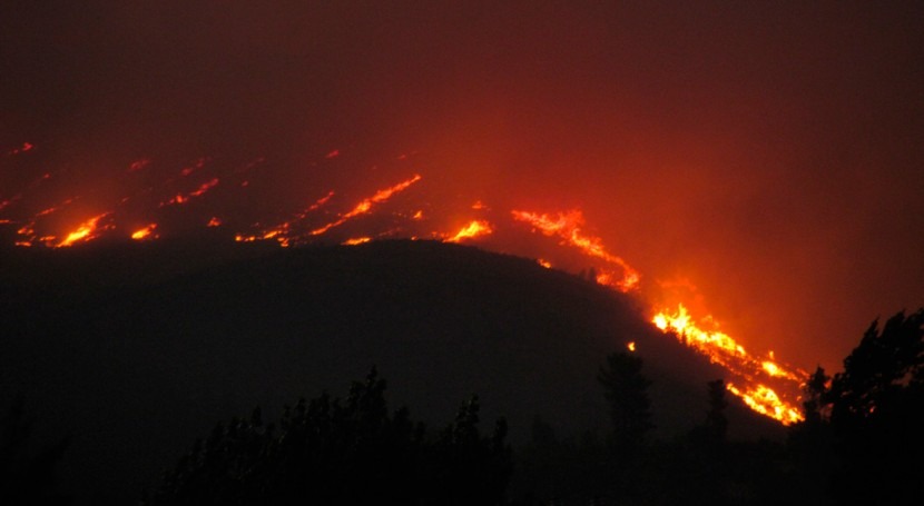OMM alerta consecuencias incendios forestales calidad aire y agua