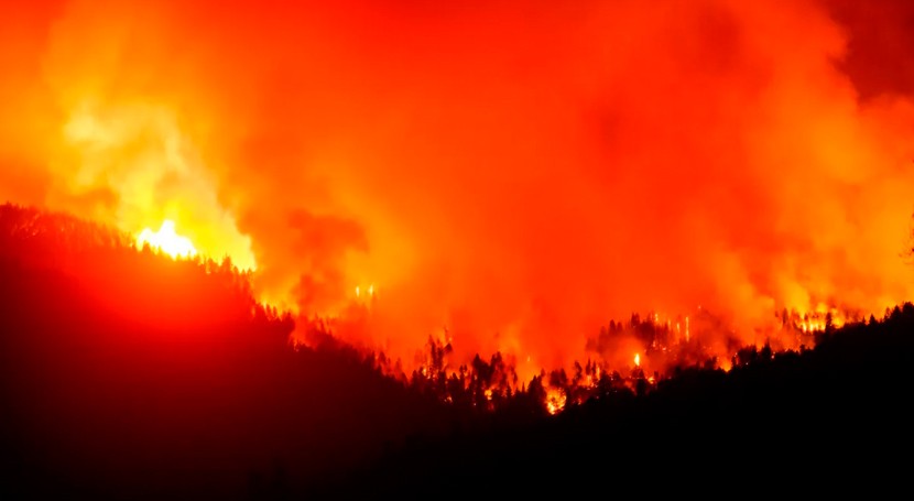 Sequía e incendios forestales. #DataOpenDay in EU