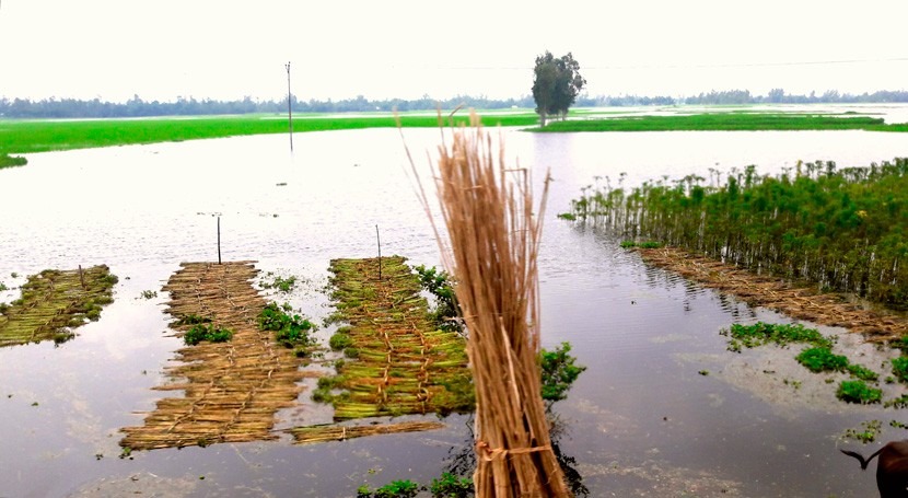 lluvias dejan cerca 400.000 desplazados causa inundaciones Bangladés