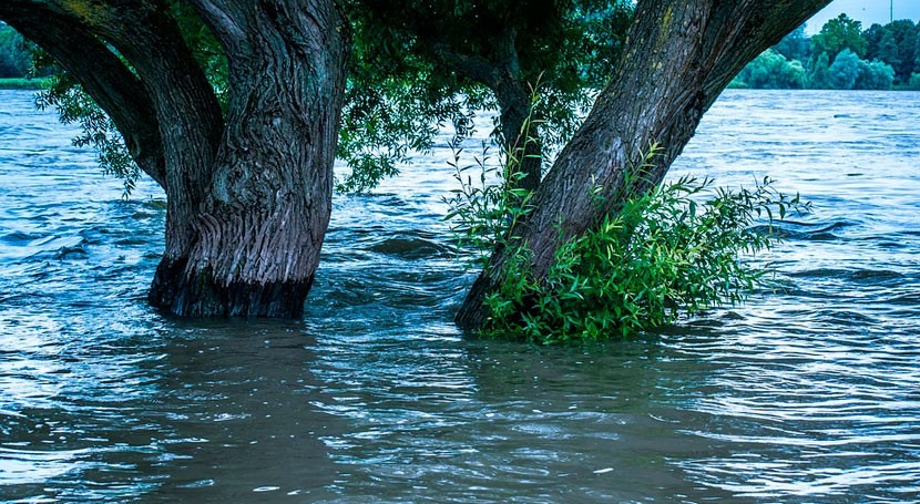 últimos 20 años, inundaciones España han causado 312 muertes