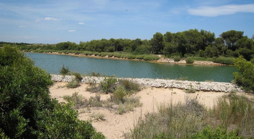 La Albufera de Valencia