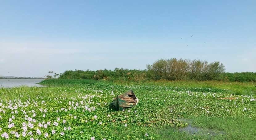 Es necesario restablecer medios subsistencia revitalizar lago Victoria