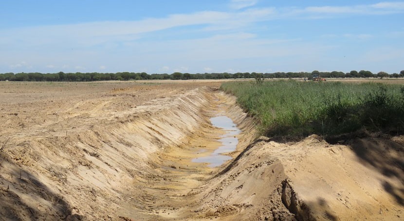 WWF denuncia que agricultura ilegal sigue avanzando Doñana