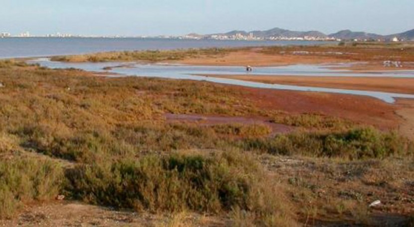 Mar Menor: Preocupante falta oxígeno aguas