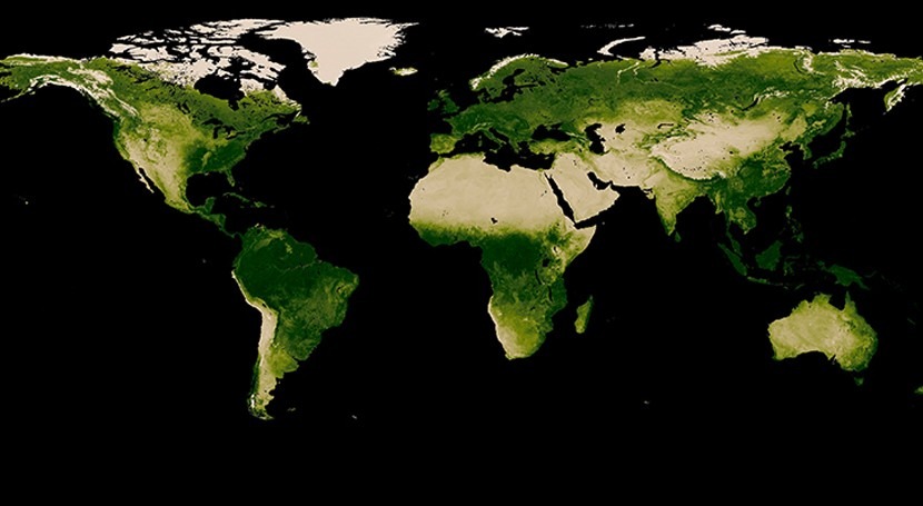 Desarrollado nuevo método prevenir y detectar desertificación bosques