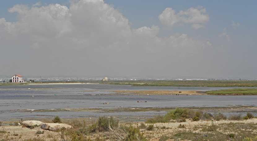 recuperación mar Menor se truncó altas temperaturas, López Miras