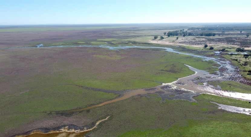 lluvias últimas semanas dejan inundación sólo 1,8 % marisma Doñana