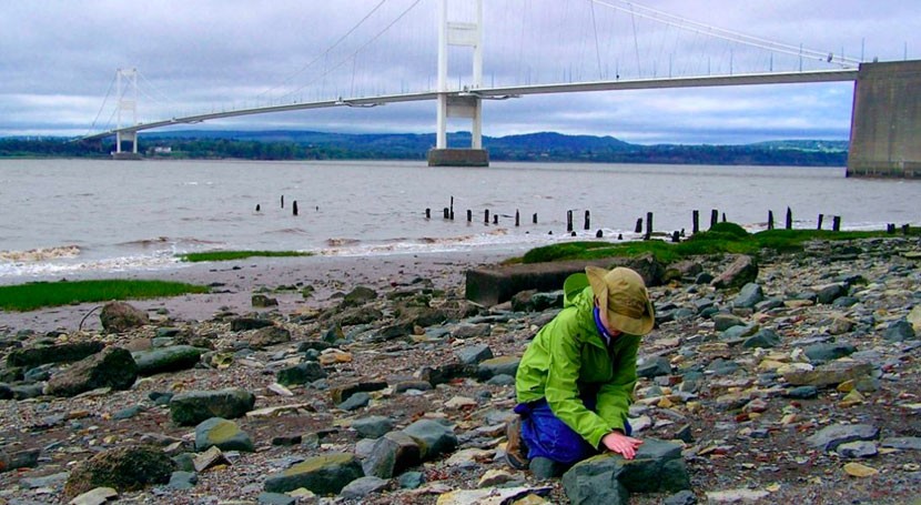 estudio, microplásticos pasan años lechos ríos antes llegar al mar