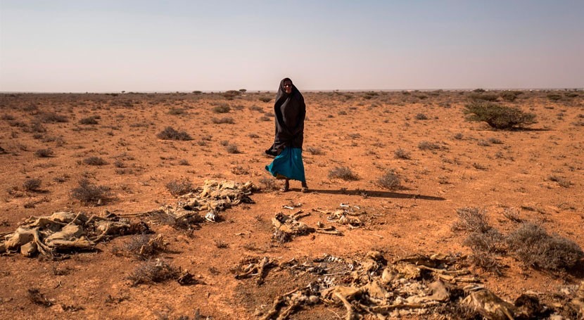 Cruz Roja alerta grave impacto sequía y conflicto Somalia