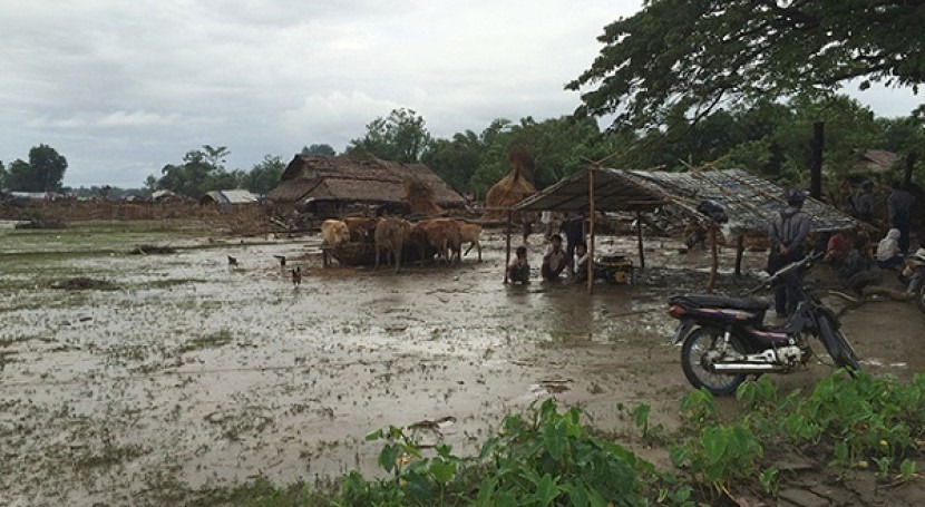 inundaciones Myanmar asestan duro golpe agricultura