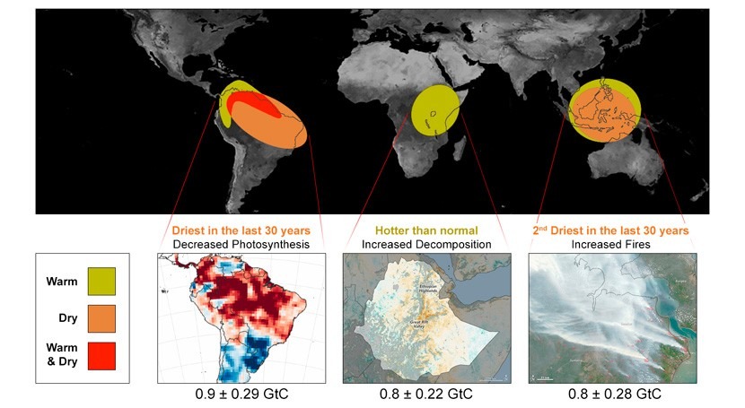 efectos Niño explican aumento récord CO2 atmosférico
