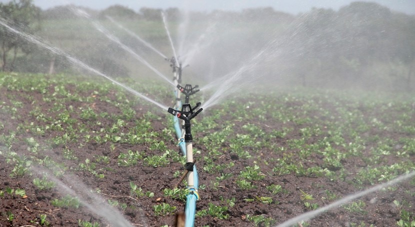 uso simultáneo agua y nitrógeno mejora sostenibilidad cultivos