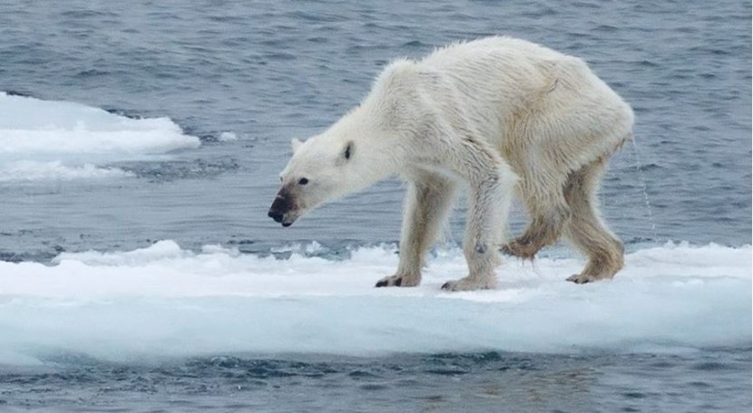 efectos cambio climático capturados sola fotografía