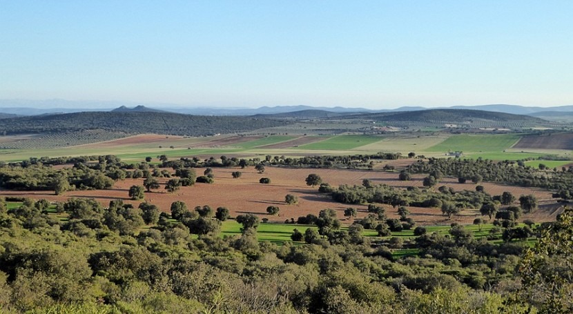 organizaciones agrarias consideran que EIA tierras raras no se entregó plazo