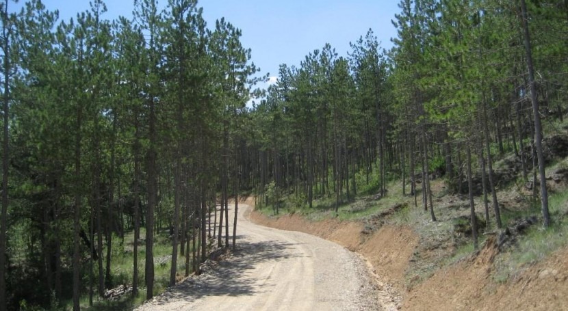 Actuación prevención incendios forestales montes gestionados CHE Huesca