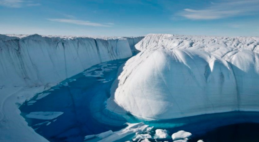 pérdida hielo global se incrementa tasa precedente