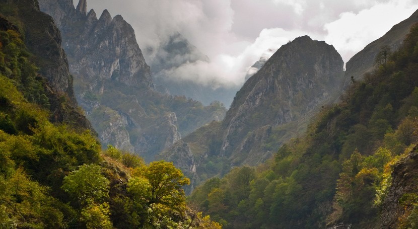 Picos de Europa