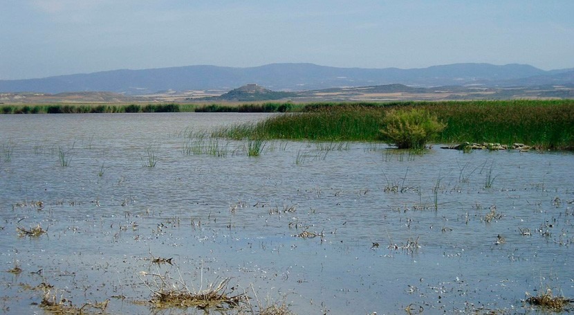 humedales Laguna Pitillas, Balsa Pulguer y Badina Escudera Navrara, designados ZEC