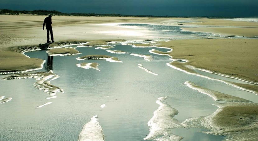 vertido crudo llega playa Doñana, afectando entorno 150 metros