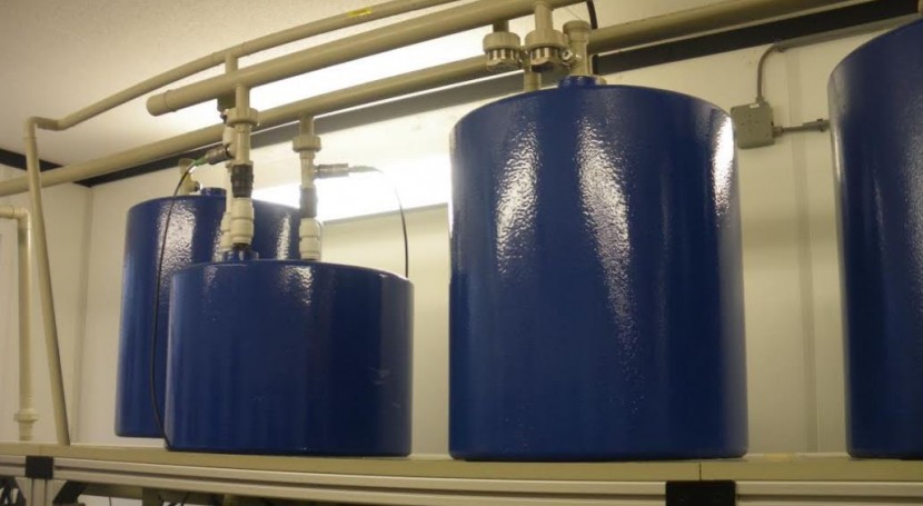 Sistema de membranas en los laboratorios TNO (Imágenes: Águeda García de Durango)