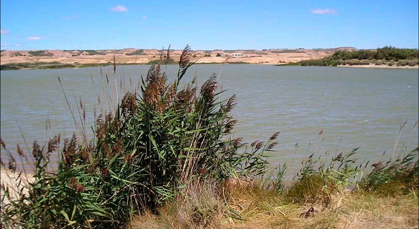 humedales Laguna Pitillas, Balsa Pulguer y Badina Escudera Navrara, designados ZEC