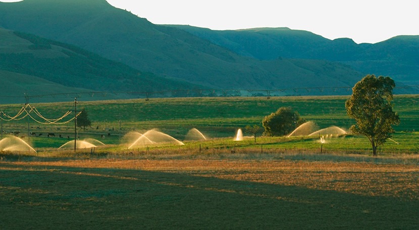Reutilización agua riego agrícola: Consejo Europeo adopta nuevas normas