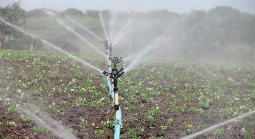 ¿Cómo mejorar gestión agua agricultura?