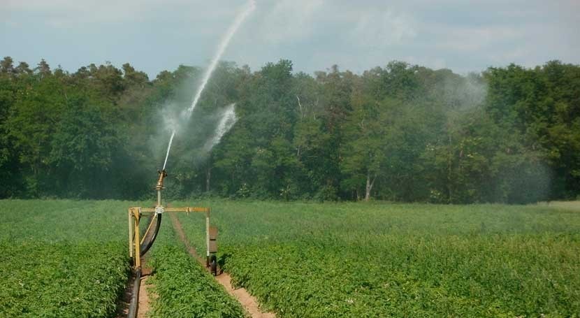 2018, volumen agua riego usado sector agrario aumenta 3,7% respecto 2016