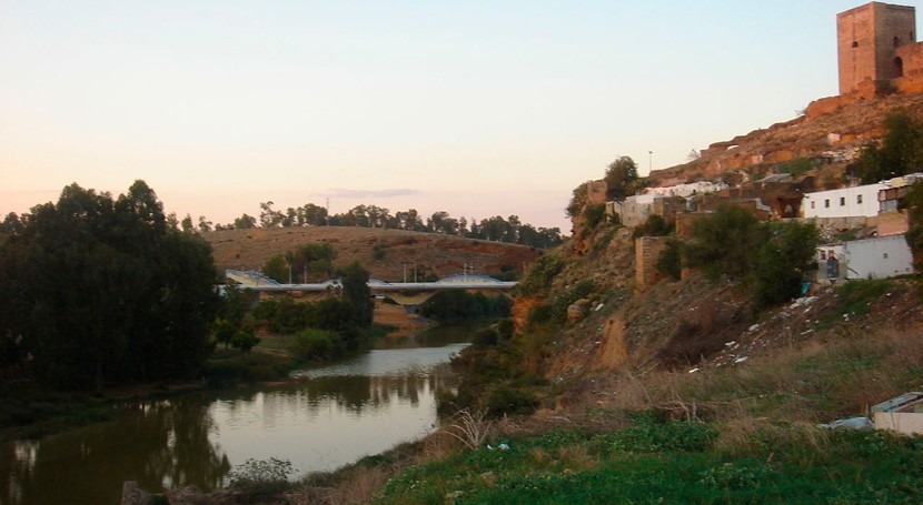 arrastre contaminación, causa más probable mortandad peces Guadaíra