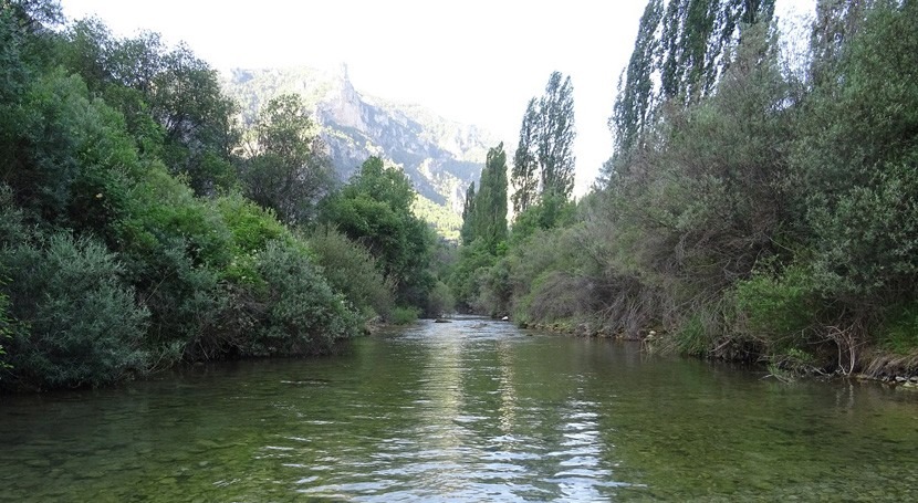 ¿Cuáles son afluentes río Segura?