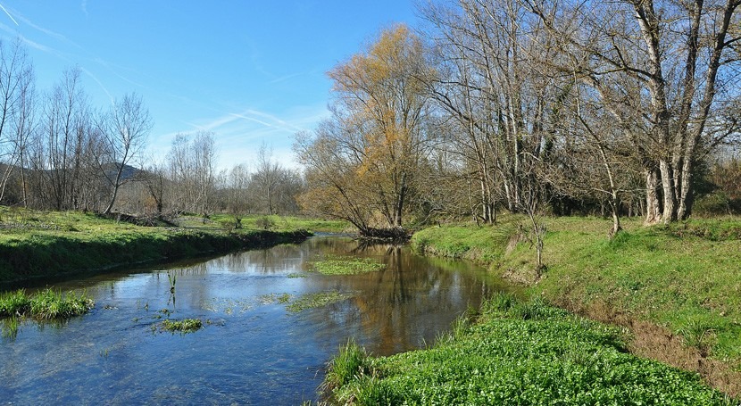 estudio analiza presencia contaminantes y calidad biológica ríos catalanes